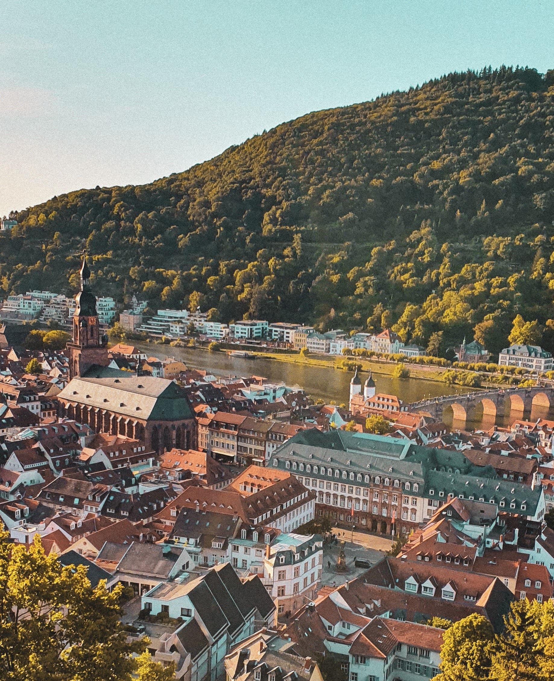 View of Heidelberg from the Castle